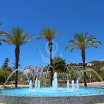 Camélia 67 At São Rafael - *