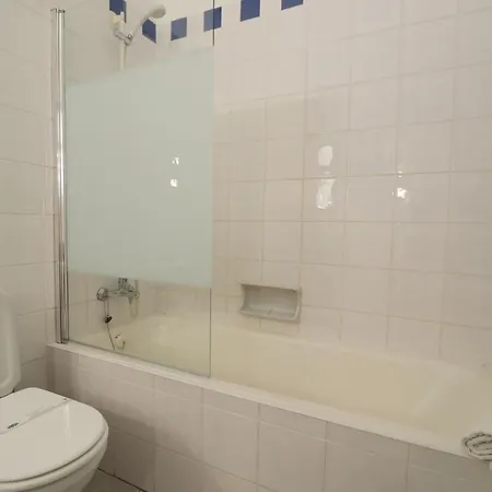 Camelia 67 At Sao Rafael -