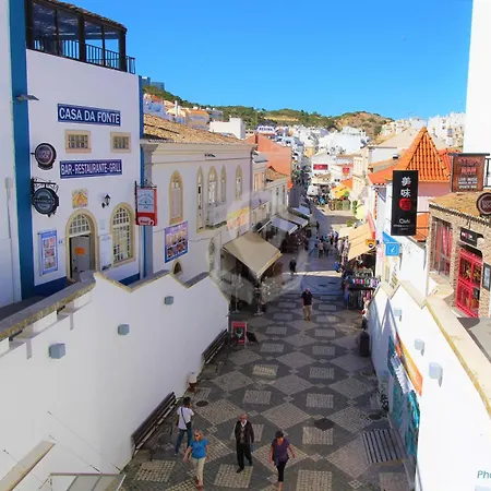 Camélia 67 At São Rafael - *