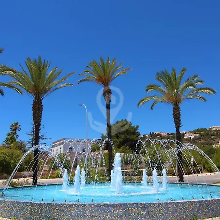 Camélia 67 At São Rafael - *