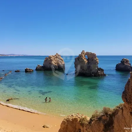 Camelia 67 At Sao Rafael - * البوفيرا