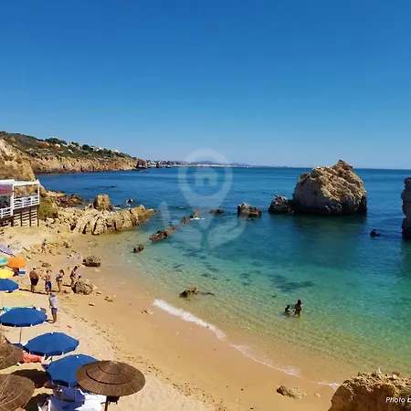 Camelia 67 At Sao Rafael - البوفيرا