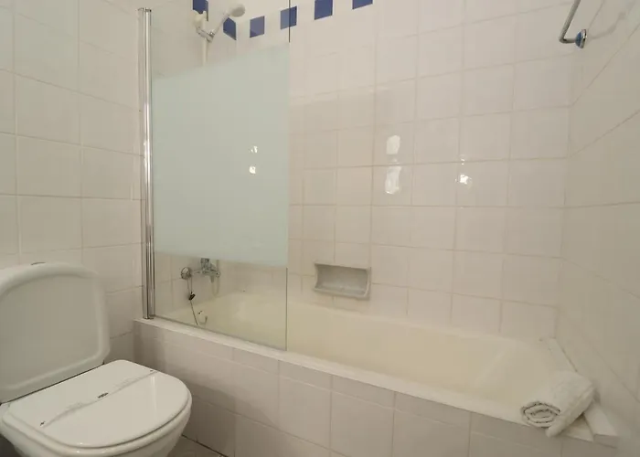 Camelia 67 At Sao Rafael -