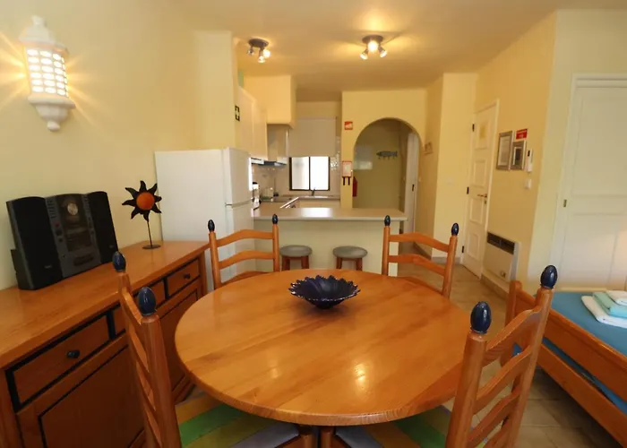 Camelia 67 At Sao Rafael - *