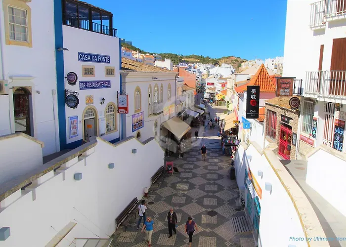 Camelia 67 At Sao Rafael - *