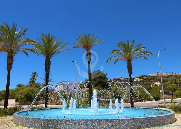 Camelia 67 At Sao Rafael - *