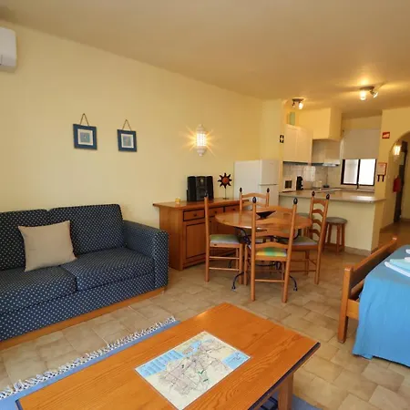 Camélia 67 At São Rafael -