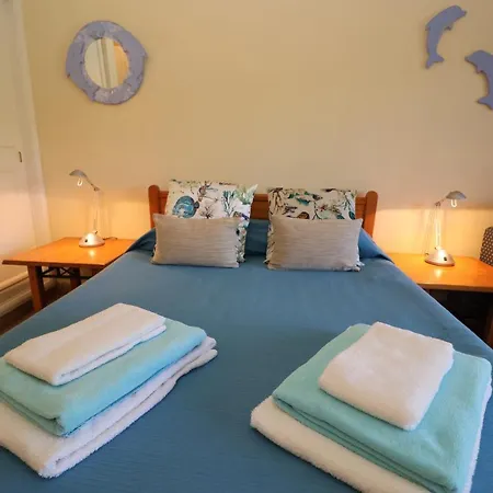 Camélia 67 At São Rafael - Appartement