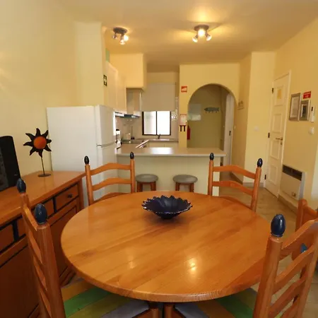 Camélia 67 At São Rafael - *